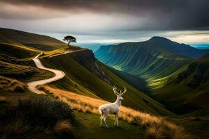 un blanco ciervo soportes en un colina con vista a un valle. generado por ai foto