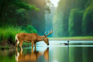 deer drinking water in the forest. AI-Generated photo