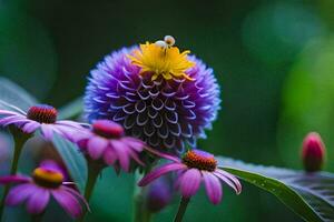 abeja en un púrpura flor. generado por ai foto