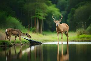 dos ciervo en pie en el agua cerca un río. generado por ai foto