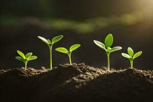 a group of young plants growing in the dirt. AI-Generated photo