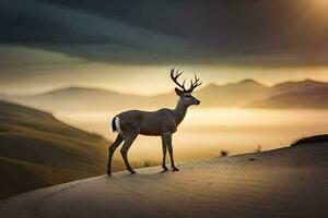 a deer stands on a hill in front of a sunset. AI-Generated photo