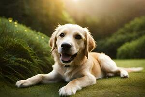 a golden retriever laying on the grass. AI-Generated photo