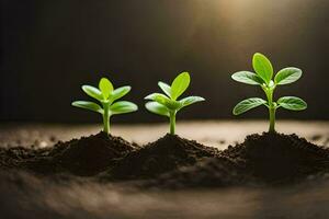 Tres joven plantas brotante desde el suelo. generado por ai foto