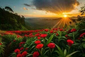 the sun rises over the red flowers in the field. AI-Generated photo