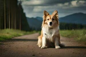 a dog sitting on the road in front of a mountain. AI-Generated photo
