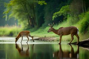 dos ciervo son en pie en el agua cerca un río. generado por ai foto