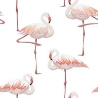 seamless pattern of pink flamingos on white background vector