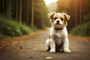 un pequeño perro sentado en el la carretera en el medio de un bosque. generado por ai foto