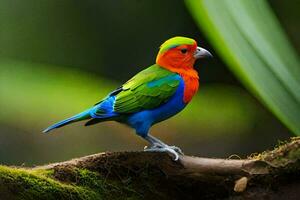 a colorful bird is sitting on a branch. AI-Generated photo