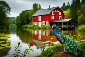 a peacock stands in front of a red barn. AI-Generated photo