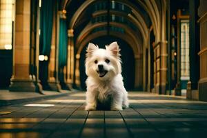a small white dog sitting on a walkway. AI-Generated photo