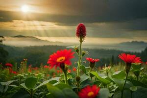 red flowers in a field with a sun setting behind them. AI-Generated photo