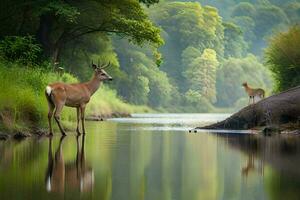 deer and cat standing in water near forest. AI-Generated photo