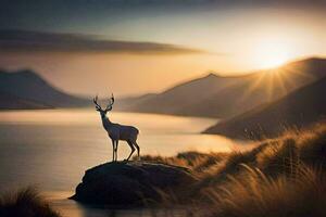 un ciervo soportes en un rock con vista a un lago a puesta de sol. generado por ai foto