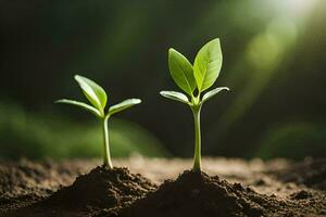 dos joven plantas creciente en suelo. generado por ai foto