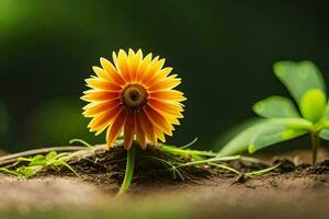 a single orange flower is standing in the dirt. AI-Generated photo