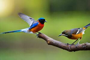 dos vistoso aves sentado en un rama. generado por ai foto