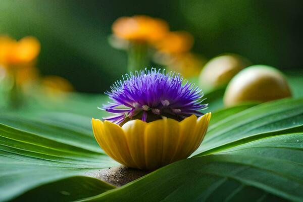 Medieval Flower Stock Photos, Images and Backgrounds for Free Download