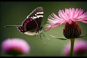 un mariposa es volador terminado un rosado flor. generado por ai foto