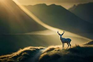 a deer stands on a hill in the sun. AI-Generated photo