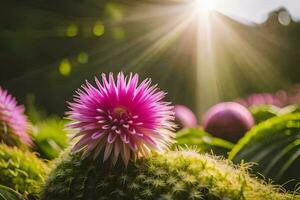 a cactus plant with pink flowers in the sun. AI-Generated photo