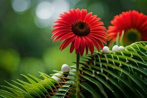 dos rojo flores son sentado en parte superior de verde hojas. generado por ai foto