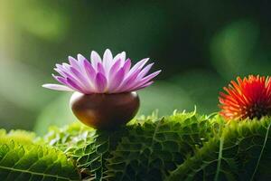 a purple flower is sitting on top of green leaves. AI-Generated photo