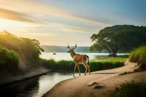 a deer stands on the shore of a river at sunset. AI-Generated photo