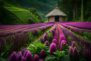 lavender field with a hut in the middle. AI-Generated photo