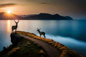 the deer are standing on the edge of the cliff at sunset. AI-Generated photo