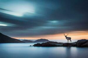 a deer stands on the rocks at sunset. AI-Generated photo