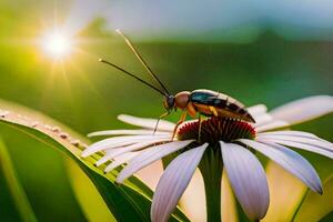 a bug on a flower with the sun in the background. AI-Generated photo