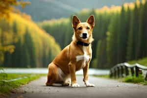 un perro sentado en el la carretera en frente de un lago. generado por ai foto