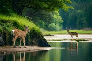 two deer standing on the bank of a river. AI-Generated photo