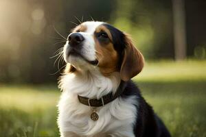 a dog sitting in the grass looking up. AI-Generated photo