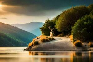 a deer stands on a road in front of a lake. AI-Generated photo