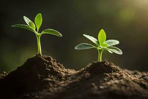 dos joven plantas creciente en el suciedad. generado por ai foto