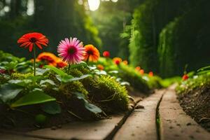 photo wallpaper the sun, flowers, green, path, path, flowers, green, path,. AI-Generated