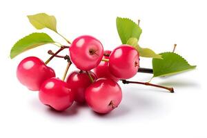 Crab apple isolated on white background AI Generated photo