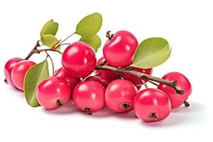 Crab apple isolated on white background AI Generated photo