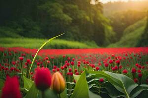 rojo tulipanes en un campo con verde césped. generado por ai foto