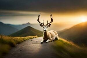 a deer is sitting on the road at sunset. AI-Generated photo