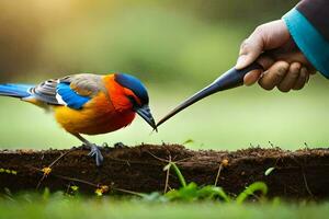 un persona alimentación un pájaro con un cuchara. generado por ai foto