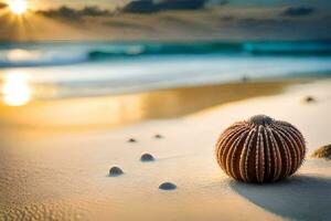 a sea urchin on the beach at sunset. AI-Generated photo