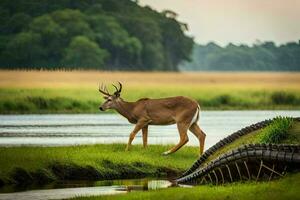 a deer walks along the edge of a marsh. AI-Generated photo