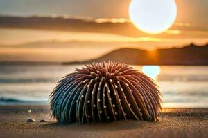 un mar pilluelo en el playa a puesta de sol. generado por ai foto