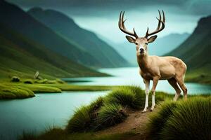 a deer stands on the grass near a lake. AI-Generated photo