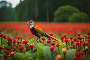 un vistoso pájaro es en pie en parte superior de un flor campo. generado por ai foto