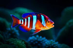 a colorful fish with blue stripes and red stripes. AI-Generated photo